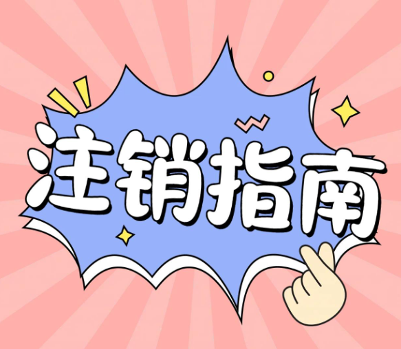 自己注销一个公司，，应该走什么流程？？